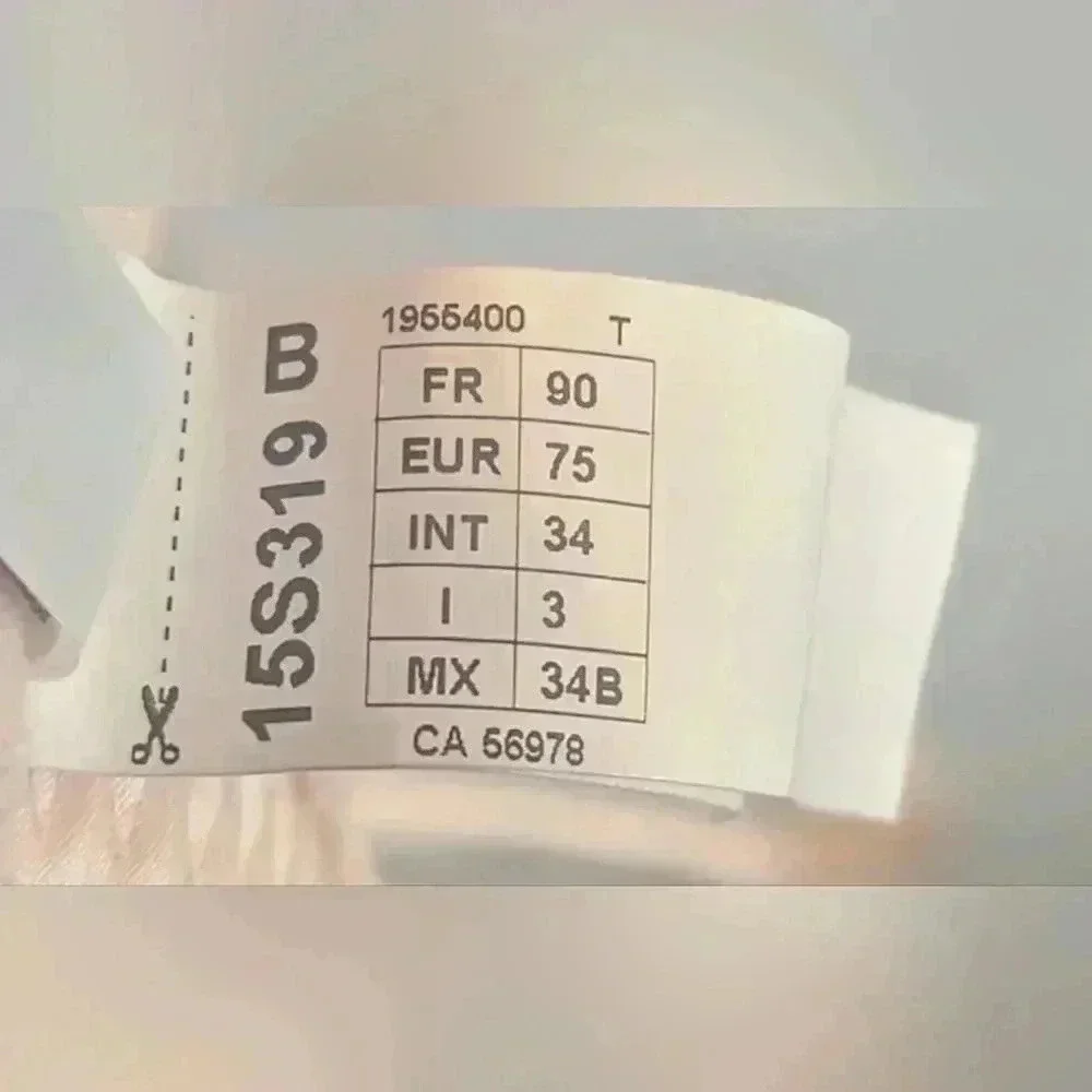 NWOT Simone Perele Orphee Sheer Plunge Bra and Panty Set 34B/1 Petal Power - Picture 9 of 9